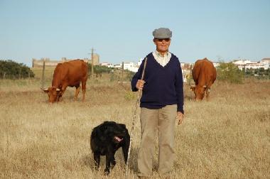 Campo