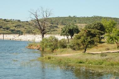 Presa Lucefecit