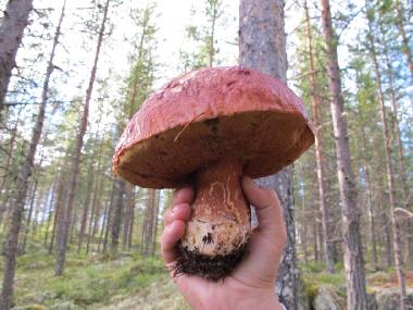 Casa de vacaciones en Vikarbyn bei R�ttvik (Dalarna)Casa de vacaciones
