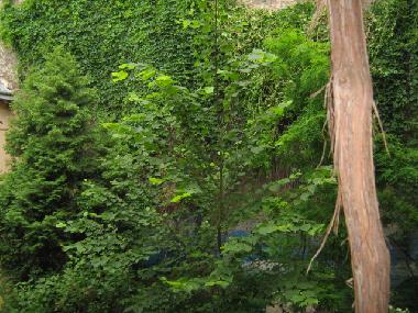 Apartamento de vacaciones en Lviv (L