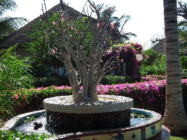Villa en M