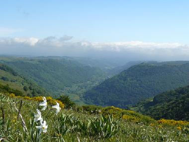 Casa de vacaciones en YTRAC (Cantal)Casa de vacaciones