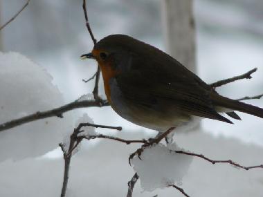 Casa de vacaciones en YTRAC (Cantal)Casa de vacaciones