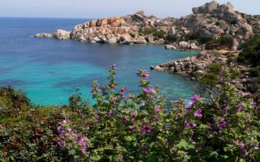 Apartamento de vacaciones en santa teresa gallura (Olbia-Tempio)Casa de vacaciones