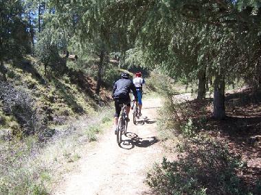 Apartamento de vacaciones en Granada Alfacar (Granada)Casa de vacaciones