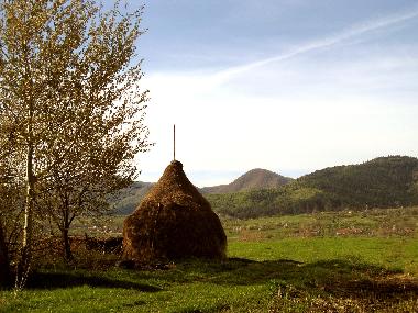 Casa de vacaciones en Vale (Sibiu)Casa de vacaciones