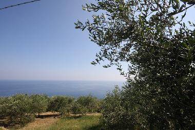 Apartamento de vacaciones en Cipressa (IM) (Imperia)Casa de vacaciones