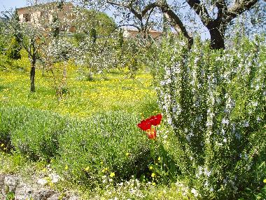 Apartamento de vacaciones en Bagni San Filippo (Siena)Casa de vacaciones