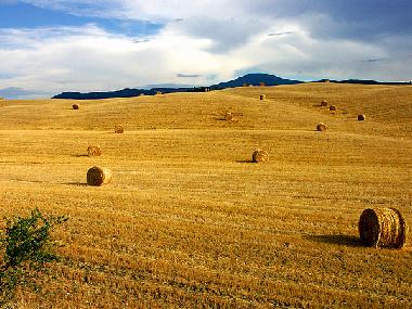 Apartamento de vacaciones en Bagni San Filippo (Siena)Casa de vacaciones