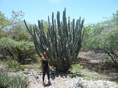 Villa en BANI (Peravia)Casa de vacaciones