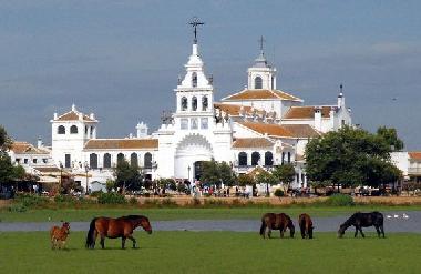 el rocio