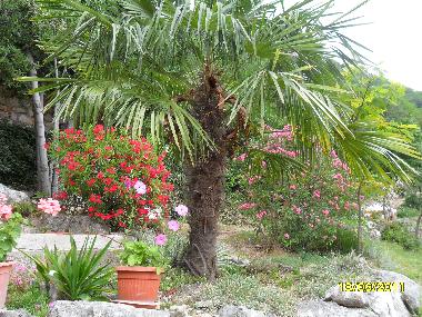 Apartamento de vacaciones en Bribir (Primorsko-Goranska)Casa de vacaciones