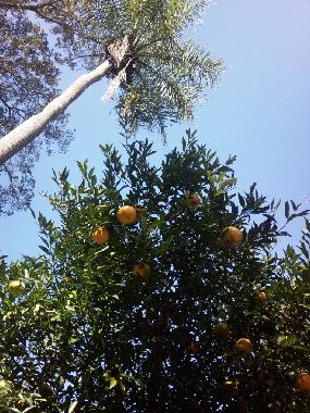 Casa de vacaciones en Altos (Cordillera)Casa de vacaciones