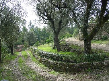 Apartamento de vacaciones en Torredeita (Do-Lafes)Casa de vacaciones