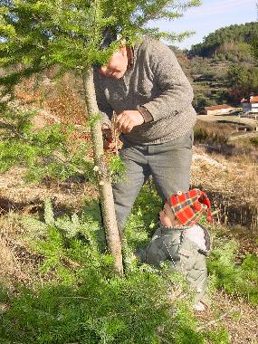 Apartamento de vacaciones en Torredeita (Do-Lafes)Casa de vacaciones