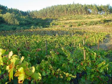 Apartamento de vacaciones en Torredeita (Do-Lafes)Casa de vacaciones