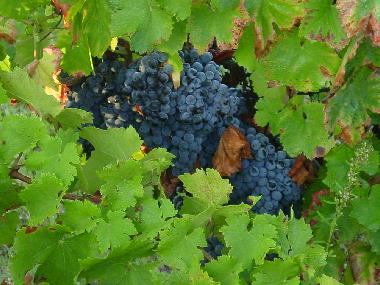 Apartamento de vacaciones en Torredeita (Do-Lafes)Casa de vacaciones