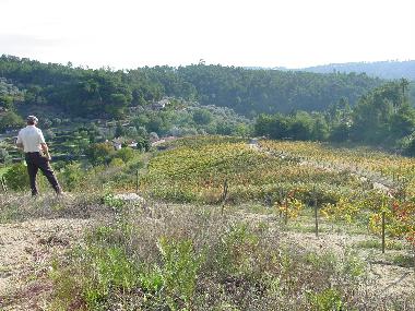 Apartamento de vacaciones en Torredeita (Do-Lafes)Casa de vacaciones