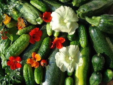 Apartamento de vacaciones en Ostrzyce  (Pomorskie)Casa de vacaciones