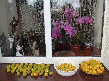 Apartamento de vacaciones en Ostrzyce  (Pomorskie)Casa de vacaciones