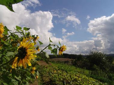 Apartamento de vacaciones en Ostrzyce  (Pomorskie)Casa de vacaciones