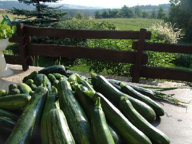 Apartamento de vacaciones en Ostrzyce  (Pomorskie)Casa de vacaciones