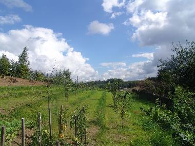 Apartamento de vacaciones en Ostrzyce  (Pomorskie)Casa de vacaciones