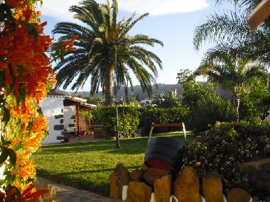 Flower Gardens in Tenerife El Picacho