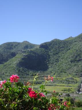Large areas for walking on a farm 60.000m2 (Finca El Picacho Tenerife)