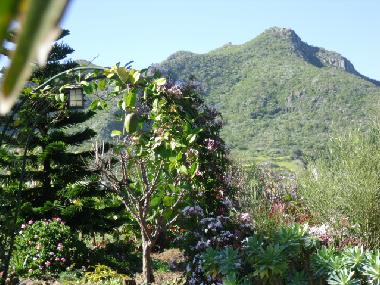 Opportunities to relax in Finca El Picacho Tenerife