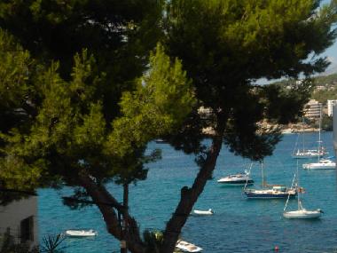 Apartamento de vacaciones en Calvia (Mallorca)Casa de vacaciones