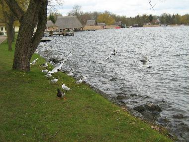 Casa de vacaciones en Krakow am See (Mecklenburgische Schweiz)Casa de vacaciones