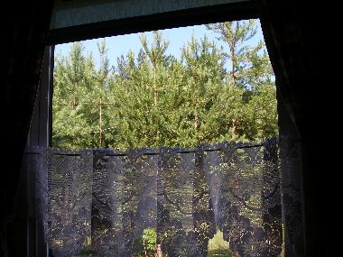 Casa de vacaciones en Kuru (Ida-Virumaa)Casa de vacaciones