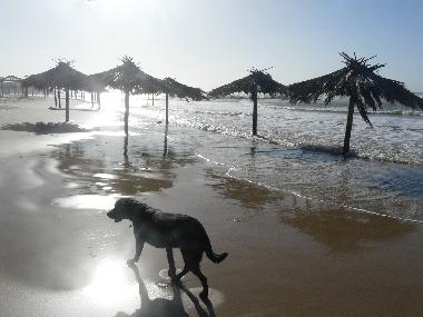 Casa de vacaciones en Mikhmoret (HaMerkaz (Central))Casa de vacaciones