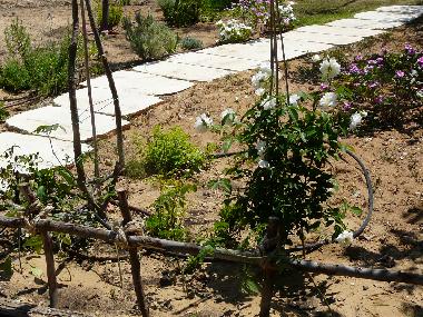 Casa de vacaciones en Mikhmoret (HaMerkaz (Central))Casa de vacaciones