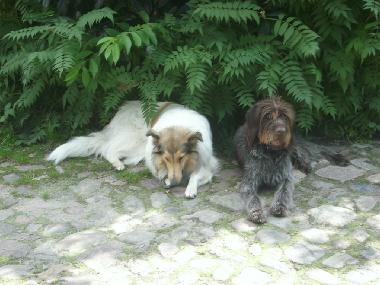 Apartamento de vacaciones en Kittlitz (Herzogtum Lauenburg)Casa de vacaciones