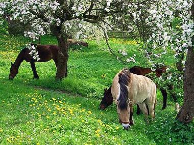 Apartamento de vacaciones en Kittlitz (Herzogtum Lauenburg)Casa de vacaciones