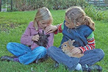 Apartamento de vacaciones en Kittlitz (Herzogtum Lauenburg)Casa de vacaciones