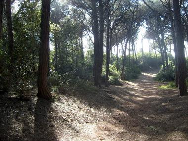 Apartamento de vacaciones en Cecina (Livorno)Casa de vacaciones