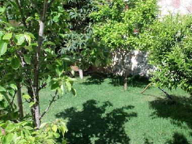 Villa en Altavilla Milicia (Palermo)Casa de vacaciones