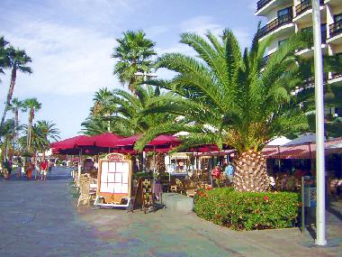 Apartamento de vacaciones en Puerto de la Cruz  (Teneriffa)Casa de vacaciones