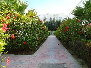 Apartamento de vacaciones en Yasmine Hammamet (Nabul)Casa de vacaciones