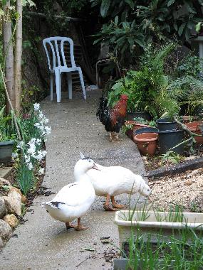 Casa de vacaciones en Qiryat-Shmona (HaZafon (Northern))Casa de vacaciones