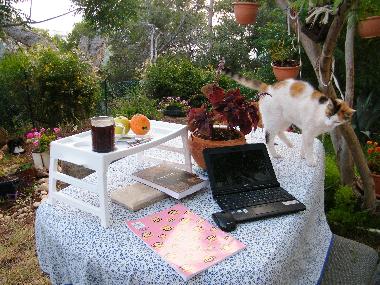 Cama y desayuno en haifa (Hefa (Haifa))Casa de vacaciones