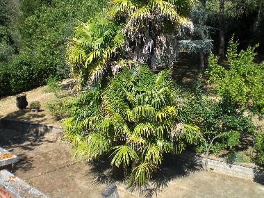 Casa de vacaciones en Magliano Sabino (Rieti)Casa de vacaciones