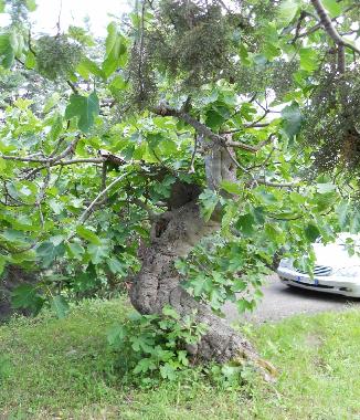 Villa en civitaquana (Pescara)Casa de vacaciones