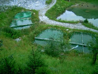 Apartamento de vacaciones en Kleinarl (Pinzgau-Pongau)Casa de vacaciones