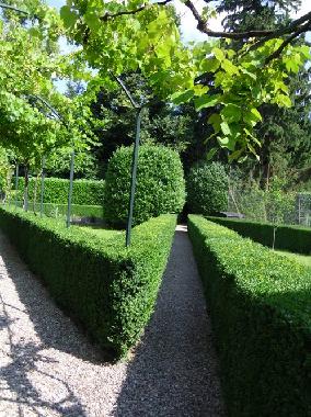 Casa de vacaciones en Binago (Como)Casa de vacaciones