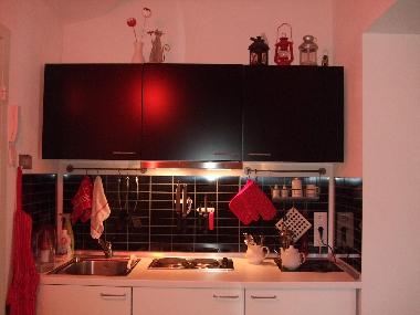 Apartamento de vacaciones en St.Petersburg (Sankt-Peterburg)Casa de vacaciones