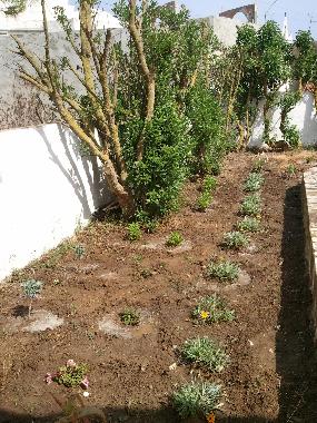 Casa de vacaciones en K�libia (Nabul)Casa de vacaciones